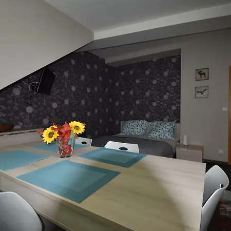 Resident - Apartma B304 Daire Harrachov